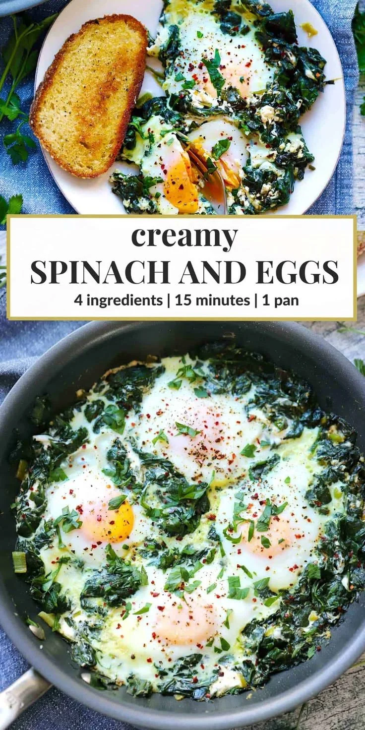 Creamy spinach and eggs dish served on a plate for breakfast