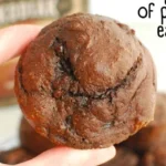 dark chocolate kodiak protein muffins 2026 07 07 003314