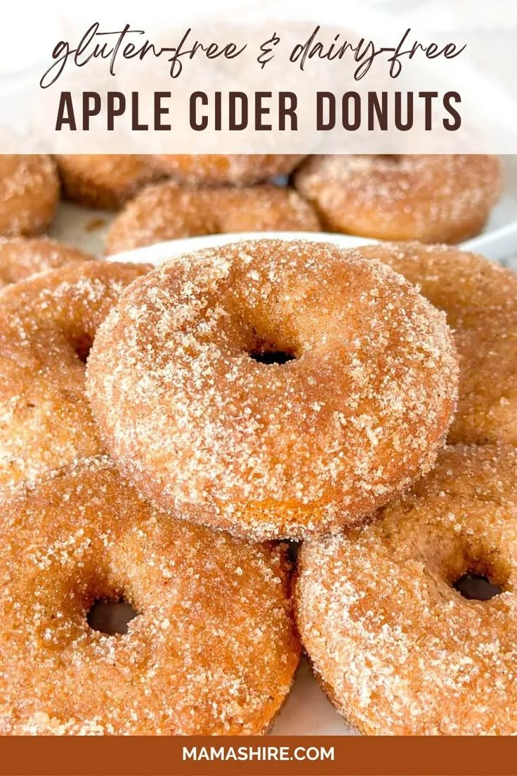 Gluten-free apple cider donuts with cinnamon sugar topping