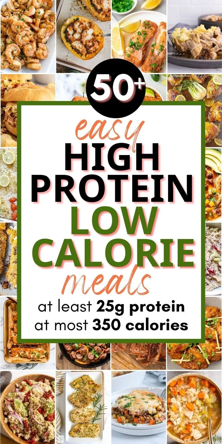 A colorful spread of low calorie high protein meals ready to enjoy.