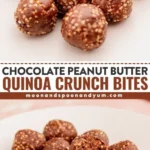 chocolate peanut butter quinoa crunch bites 2026 08 07 224028 512x1024 1