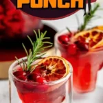 cranberry vodka halloween punch recipe cranberry 2026 08 06 194143 487x1024 1