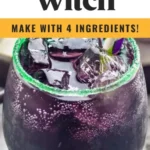drunk witch 2026 08 06 194146 512x1024 1