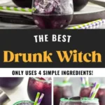 drunk witch recipes 2026 08 06 194148 512x1024 1