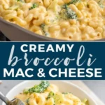 healthy broccoli mac and cheese recipe creamy br 2026 08 07 224027 480x1024 1