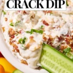 high protein crack dip recipe 2026 08 06 194225 1