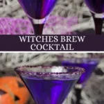 spooky witches brew cocktail for halloween parties 2026 08 06 194301 579x1024 1